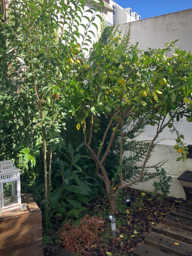 Garden Apartment Lisboa Exteriér fotografie